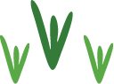 草